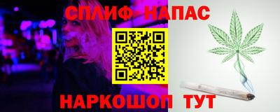 тгк Камышлов
