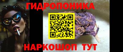 тгк Камышлов