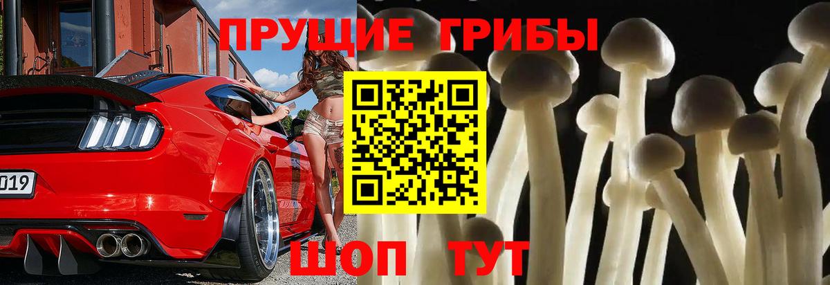 Псилоцибиновые грибы Cubensis Красноуфимск